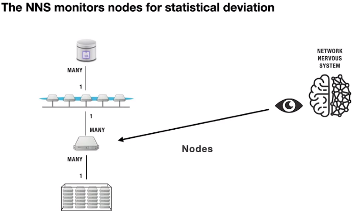  nns managing nodes